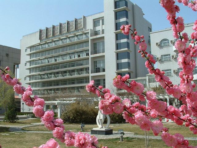 性爱逼逼视频
